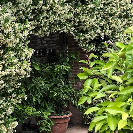 Bed and breakfast Bagolari