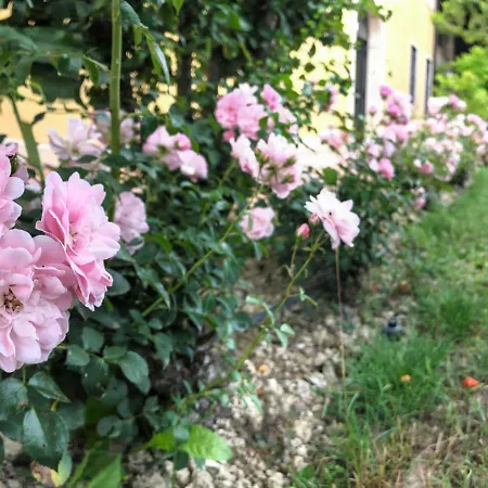 Bed and breakfast Bagolari Villaganzerla