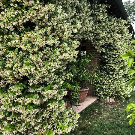 Bagolari Bed & Breakfast Villaganzerla