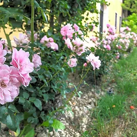 Bagolari Bed & Breakfast 4*