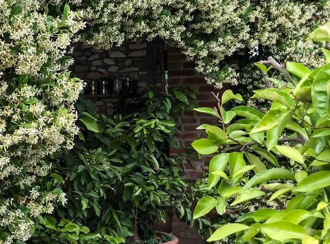 Bed & Breakfast Bagolari