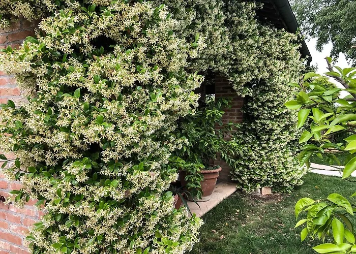 Bagolari Bed & Breakfast Villaganzerla